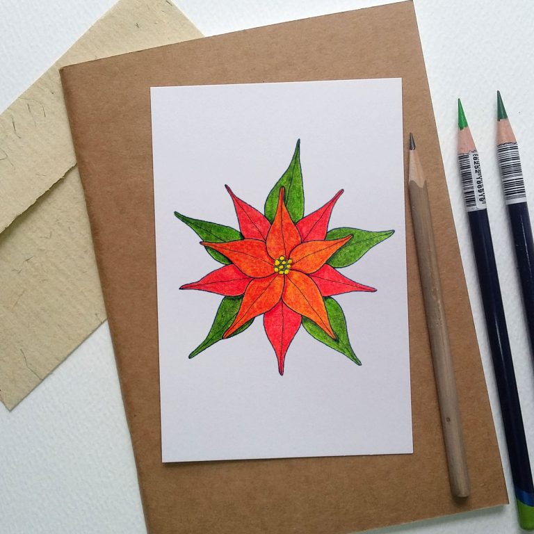 Art & Craft Tutorial: How to draw simple flowers course – part five – poinsettia