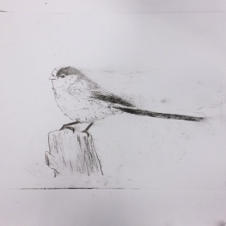 Student showcase: experiments with drypoint printmaking