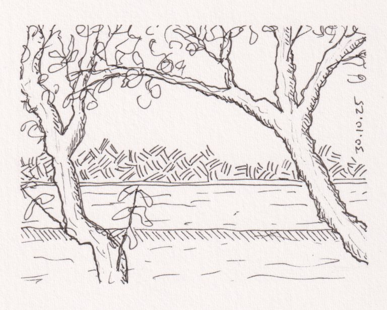 Studio blog: Inktober 2025 days 22 to 31