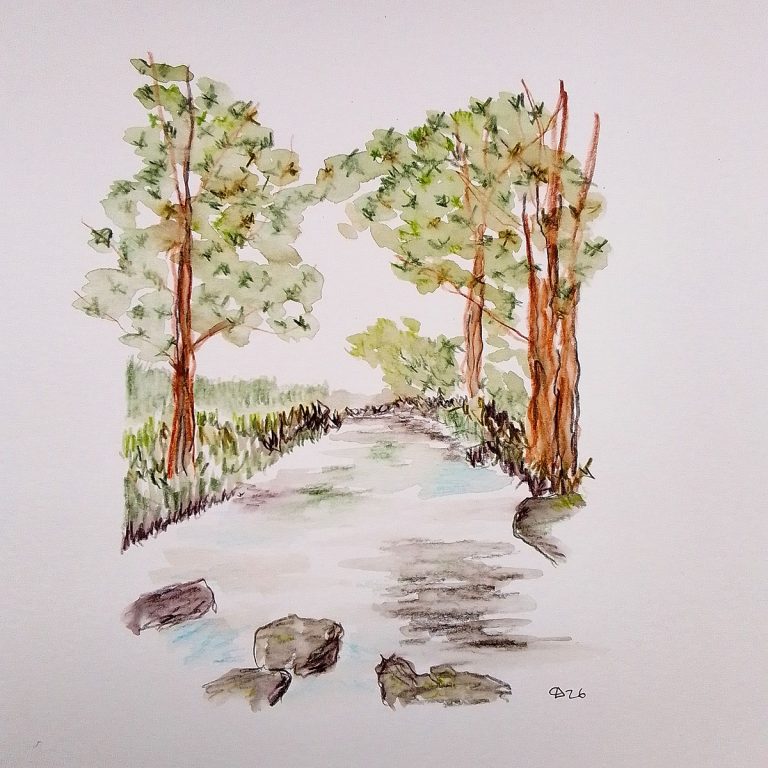 Studio blog: online Derwent Inktense pencils workshop with Colin Woodward